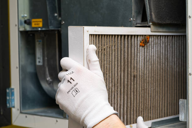 Best Commercial HVAC Duct Cleaning  in Cypress Landing, NC