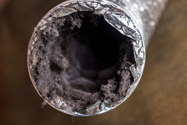 Best Local Air Duct Cleaning Services  in Cypress Landing, NC